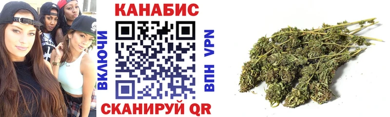 Канабис индика  Нестеровская 